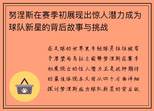 努涅斯在赛季初展现出惊人潜力成为球队新星的背后故事与挑战